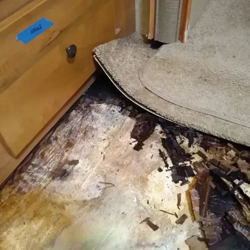 Best Wood Floor Water Damage Service in Otis, MA